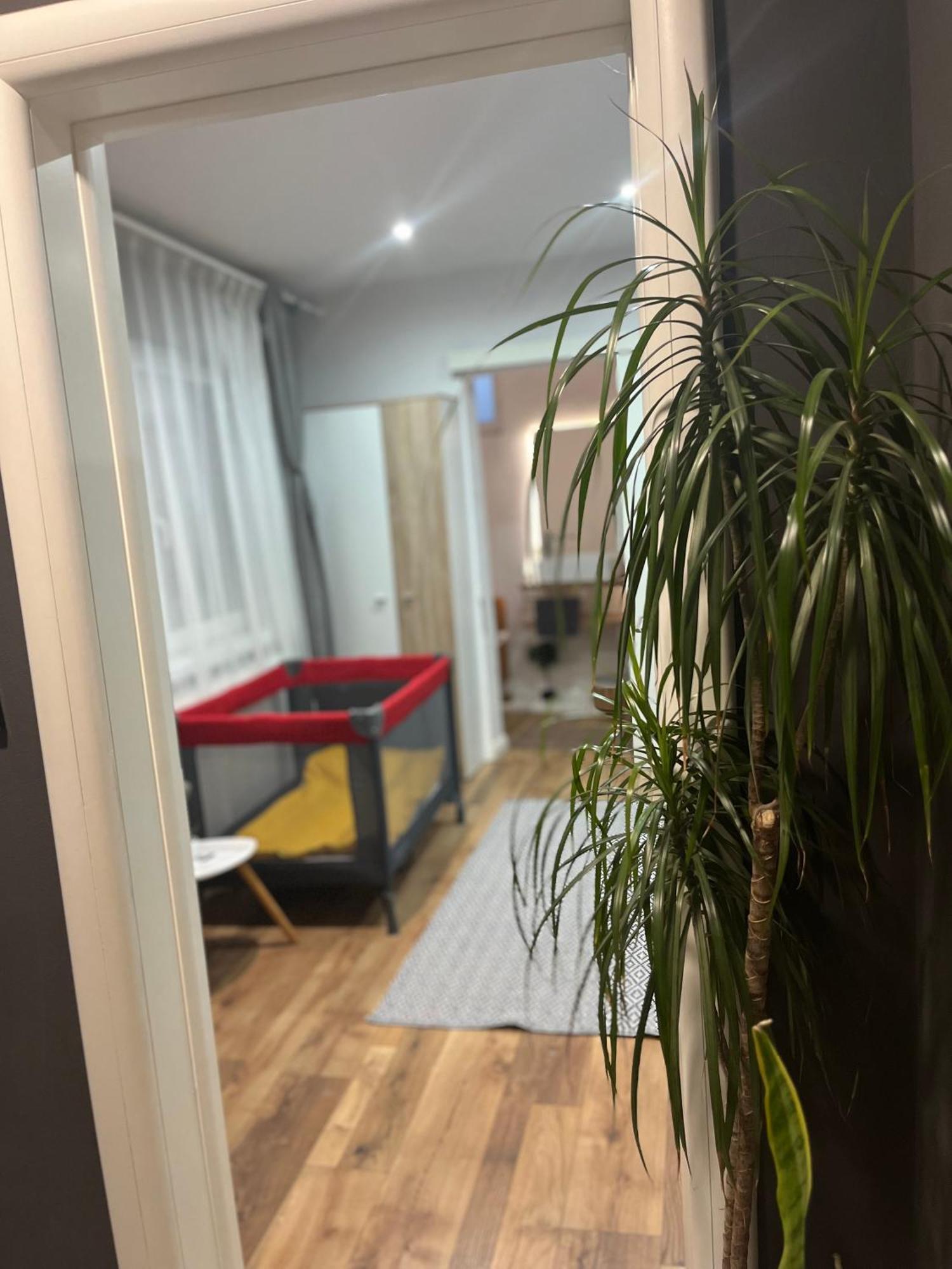 Nairo Harmony Residence Brasov Bagian luar foto